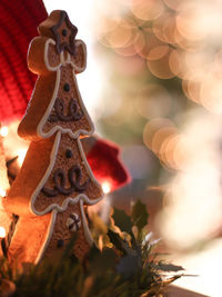 Close-up of illuminated christmas tree