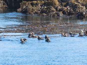 Rocks in sea