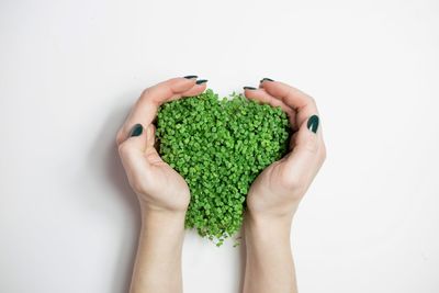 Close-up of broccoli against white background