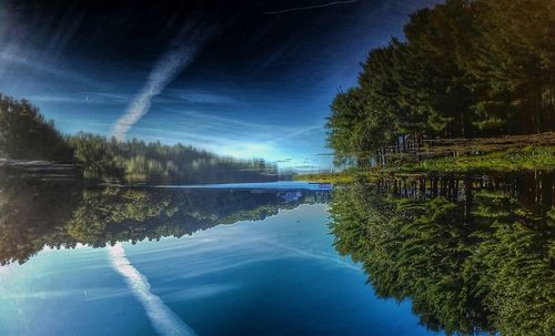 Reflection of trees in water