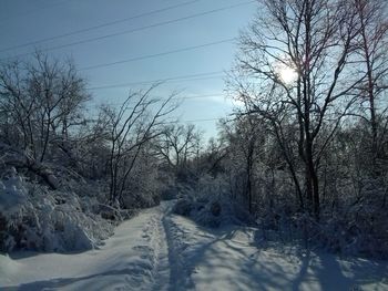 Bare trees on snow covered landscape