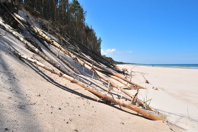 Driftwood on beach against sky