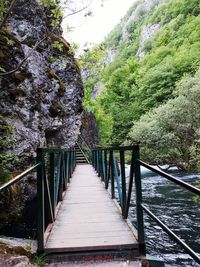 Footbridge in forest against sky