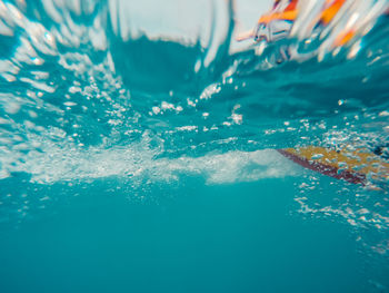 High angle view of fish swimming in pool