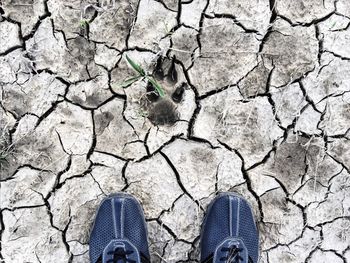 Low section of person standing on cracked field