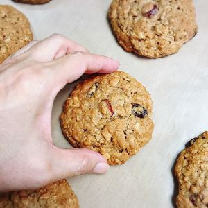 Close-up of hand holding cookies