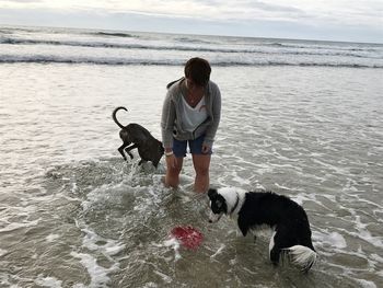 Mid adult woman playing with dogs at beach against sky