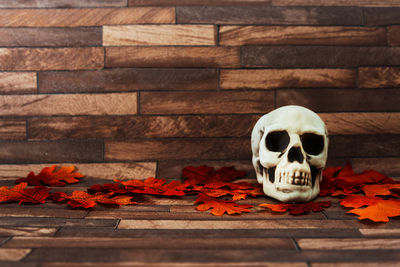 Close-up of leaves and human skull on table