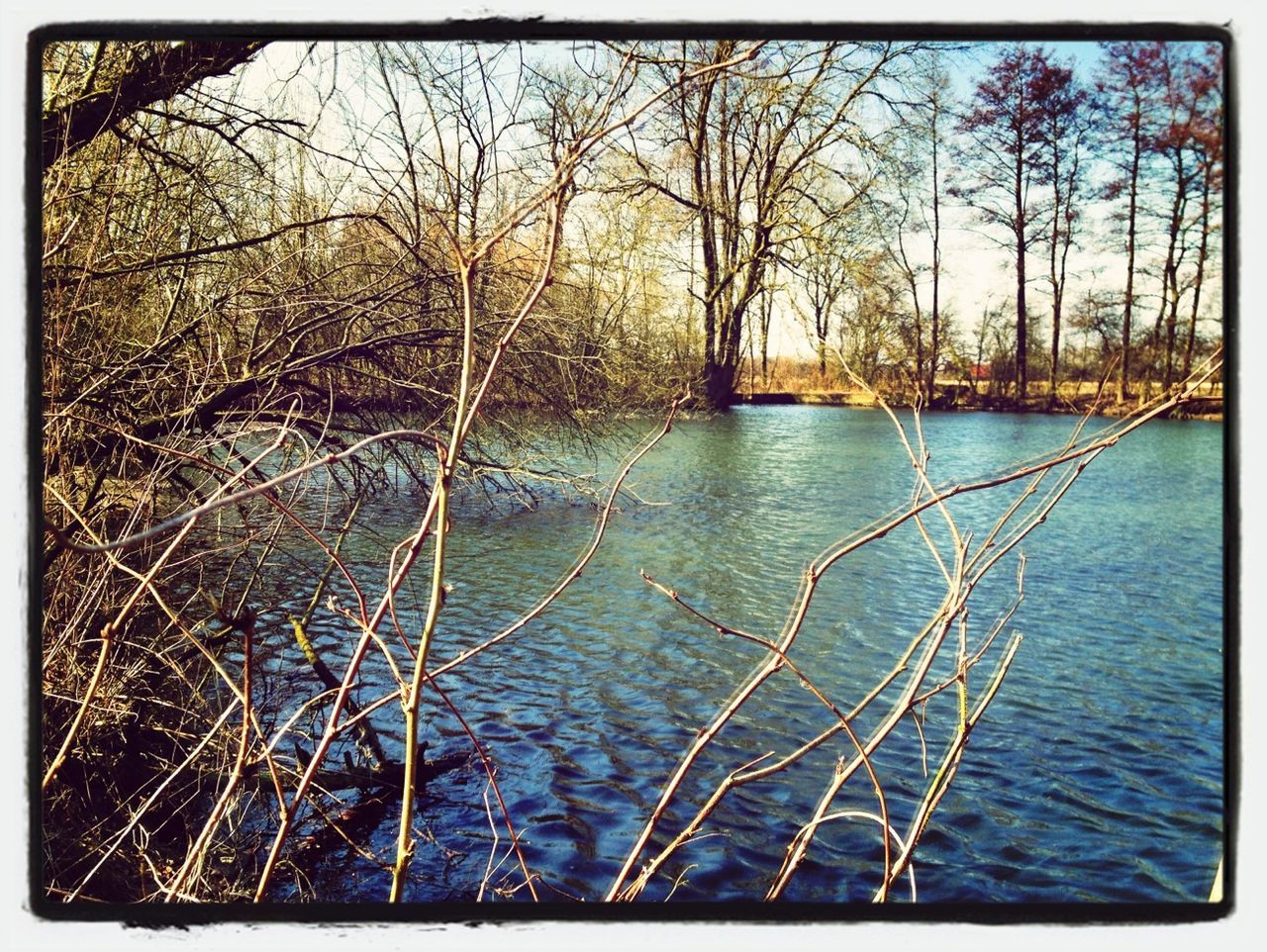 transfer print, water, auto post production filter, bare tree, tree, tranquility, lake, nature, branch, reflection, tranquil scene, beauty in nature, waterfront, scenics, rippled, river, sky, outdoors, blue, day