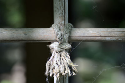 A knot holding a window grid together in the japanese garden
