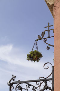 Low angle view of tree against sky