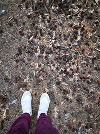 Low section of person standing on field during autumn