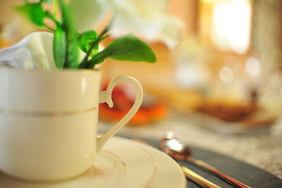 Close-up of flowers in cup on table