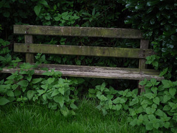 Close-up of bench in park