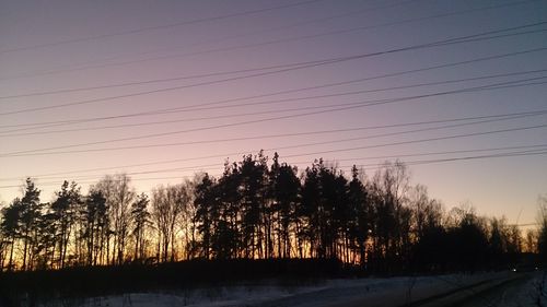 Trees against sky during sunset