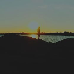 Silhouette of trees at sunset