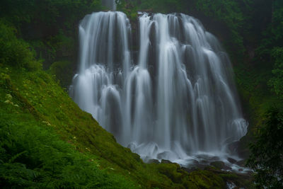 Scenic view of waterfall in forest