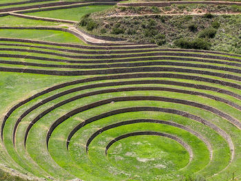 High angle view of agricultural field