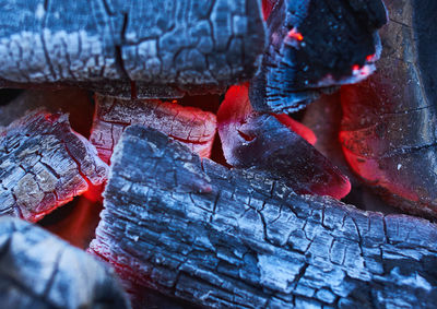 Full frame shot of red leaves on wood