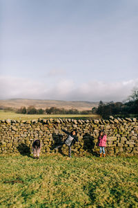 Group of sheep on field against sky