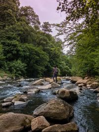 Man walking on rock in stream against trees