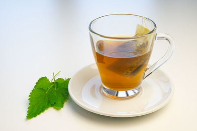 Nettle infusion in transparent cup, a sachet in water, a white saucer  and nettle leaves. 