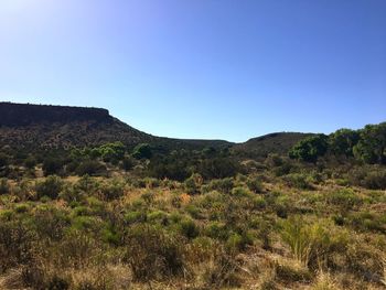 Scenic view of mountains against clear blue sky