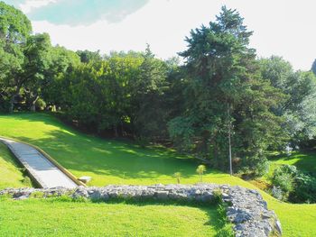 Footpath in park