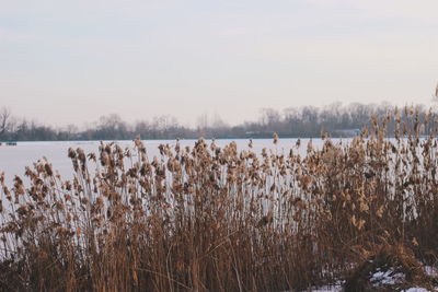 Scenic view of lake against sky during winter