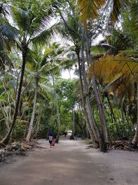 Man cycling on palm tree