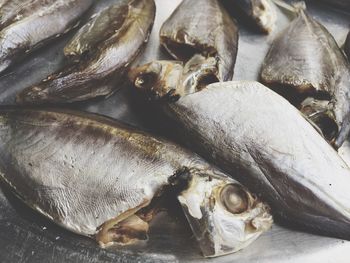 Close-up of fishes in plate