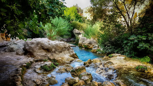 Scenic view of river in forest against sky