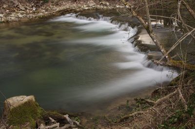 High angle view of stream amidst trees in forest