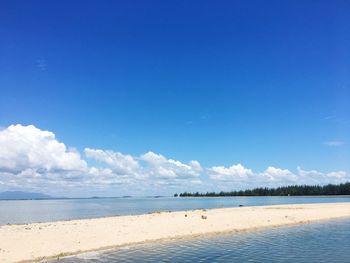 View of beach against blue sky