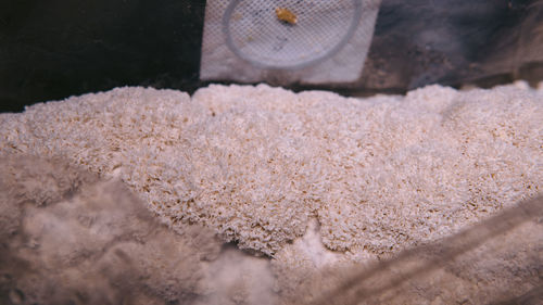 Close-up of food for sale at market stall