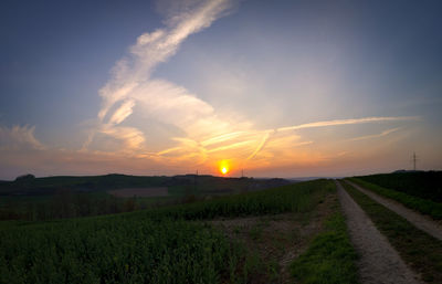 Scenic view of field against sky during sunset