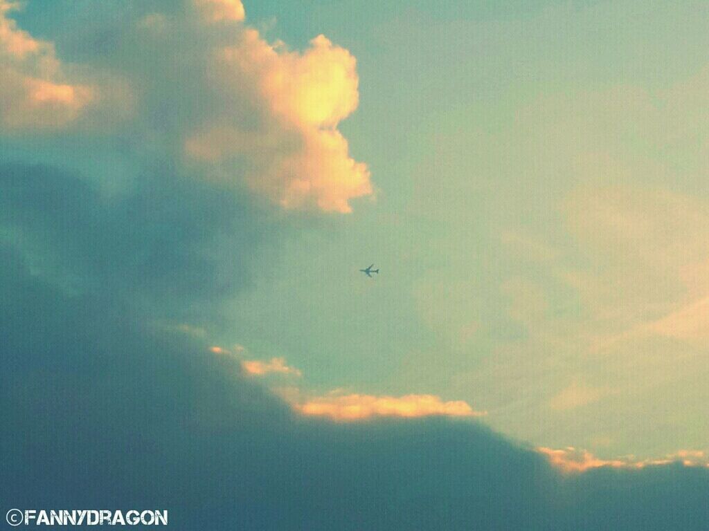 sky, cloud - sky, scenics, beauty in nature, sunset, low angle view, flying, cloudy, tranquility, tranquil scene, nature, cloud, silhouette, idyllic, cloudscape, outdoors, weather, no people, mid-air, overcast