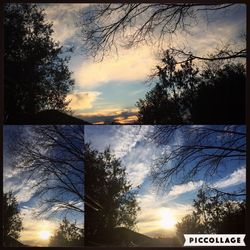 Silhouette of tree against cloudy sky