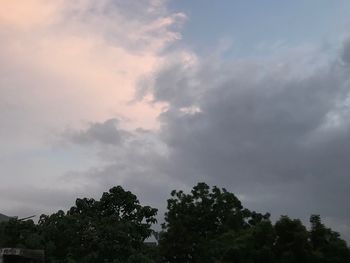 Low angle view of trees against sky