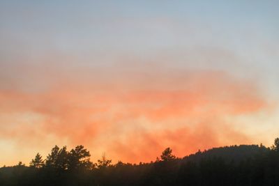 Low angle view of silhouette trees against sky during sunset