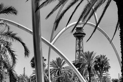 Low angle view of palm trees against sky