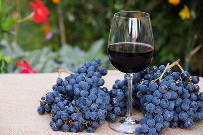 A glass of red wine and grapes wine fruits