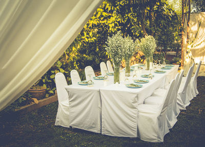 Potted flower on table in lawn