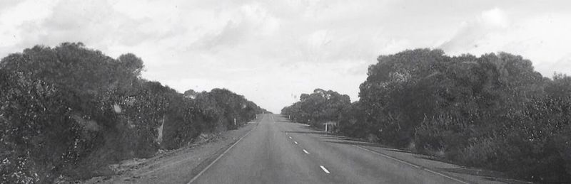 Road passing through landscape