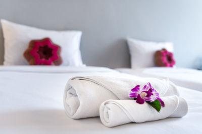 Close-up of pink roses on bed