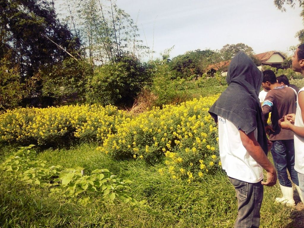 grass, lifestyles, tree, leisure activity, growth, field, casual clothing, sitting, men, green color, plant, standing, person, rear view, relaxation, nature, grassy, sunlight