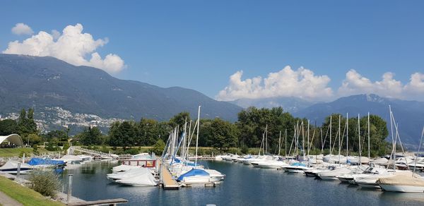 Sailboats moored at harbor against sky