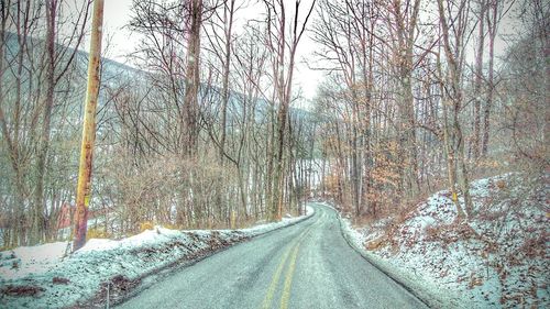 Road amidst bare trees during winter