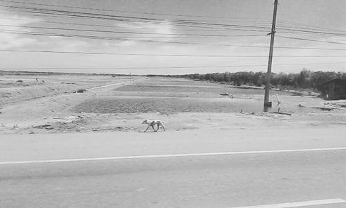 Road along landscape