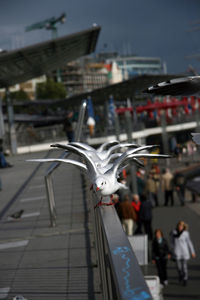 Close-up of car against sky in city